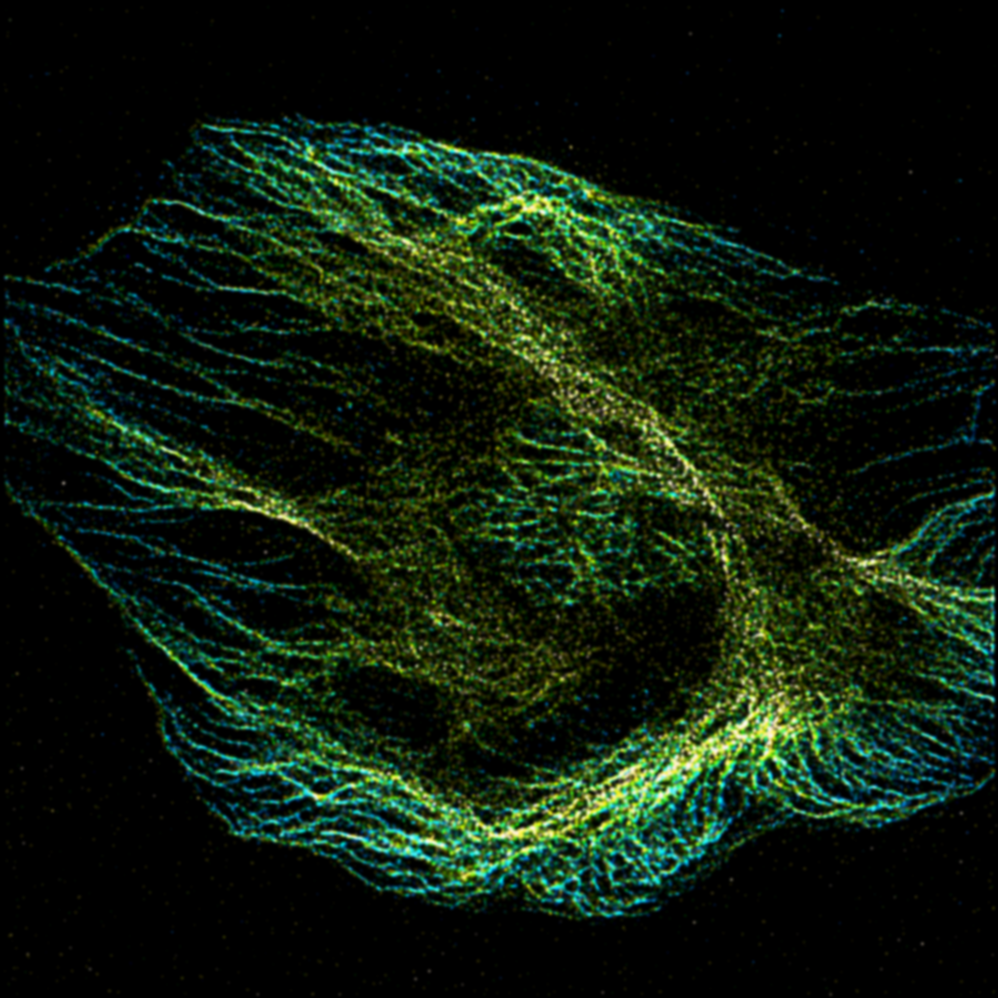Three-dimensional RIED-ECL reconstruction